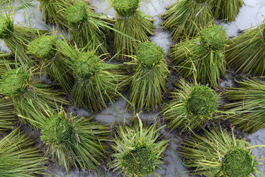 Similar image 13072716