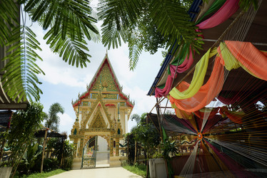 Similar image 13072933