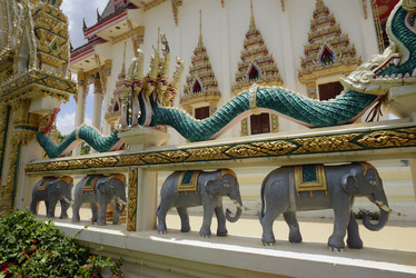 Similar image 13083585