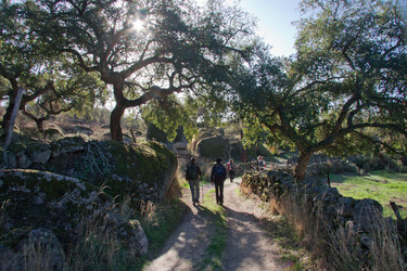 Similar image 13074462