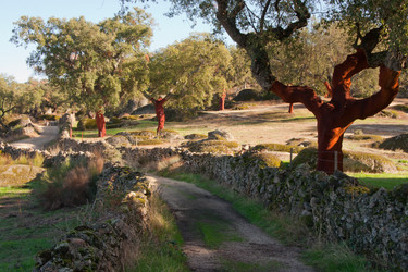 Similar image 13074481