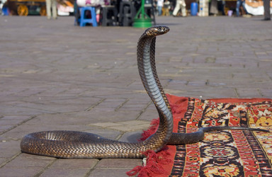 Similar image 13095126