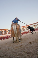 Similar image 13097804