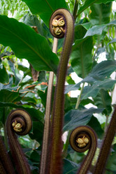 Similar image 13076775