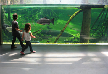 Similar image 13097822