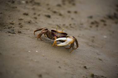 Similar image 13097824