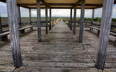 Similar image 13103142