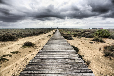 Similar image 13103145