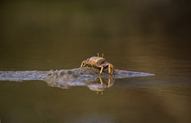 Similar image 13103146