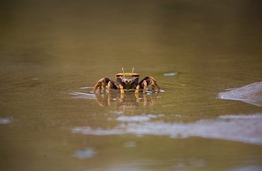 Similar image 13103165