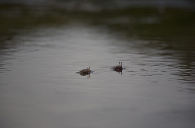 Similar image 13103166