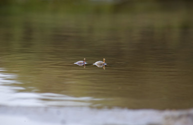 Similar image 13103167