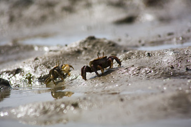 Similar image 13103168