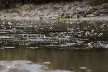 Similar image 13103170