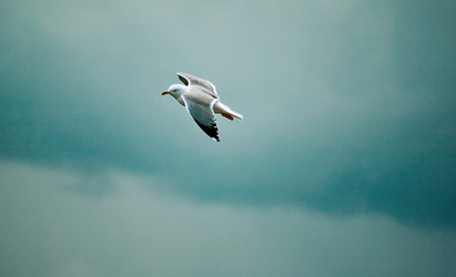 Similar image 13074465