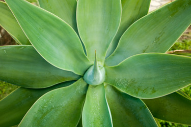 Similar image 13074492