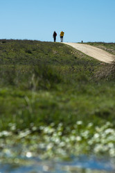 Similar image 13076727