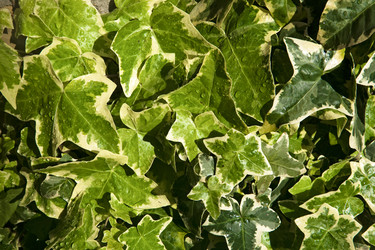 Similar image 13076728