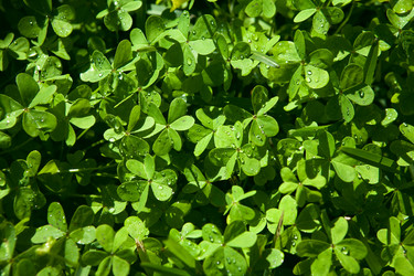 Similar image 13076778