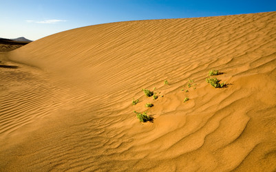 Similar image 13076731