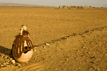 Similar image 13076732