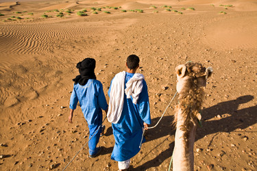 Similar image 13076834