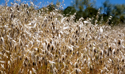 Similar image 13097825