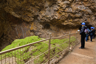 Similar image 13076734