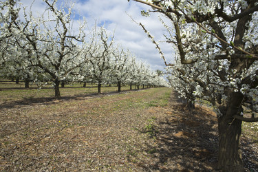 Similar image 13095152