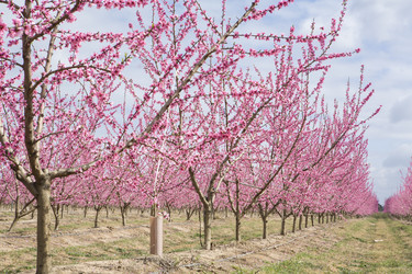 Similar image 13097806