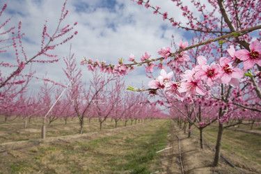 Similar image 13097827