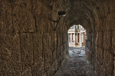 Similar image 13076788