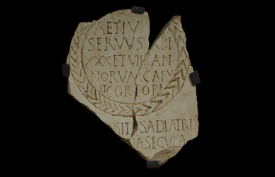 Similar image 13103154