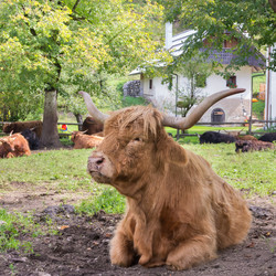 Similar image 13106868