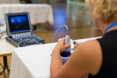 Similar image 13089761