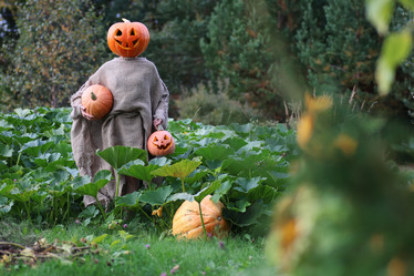 Similar image 13079800