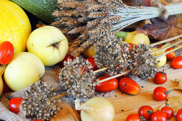 Similar image 13079975