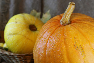 Similar image 13079995