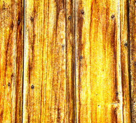 Similar image 13076290