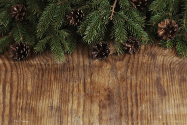 Similar image 13079760