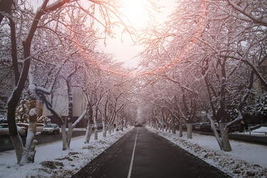 Similar image 13079702