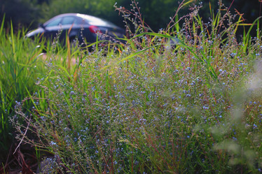 Similar image 13079660