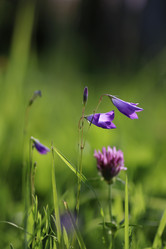 Similar image 13079741