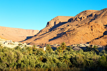 Similar image 13076291