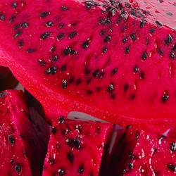 Similar image 13098438