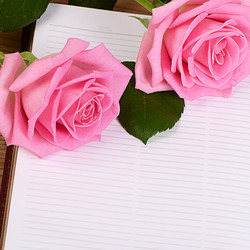 Similar image 13098455