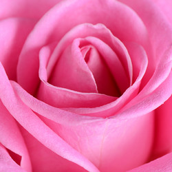 Similar image 13098456