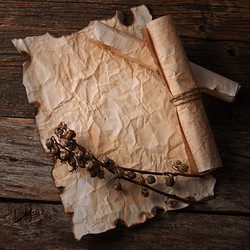 Similar image 13098473