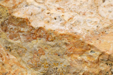 Similar image 13098496