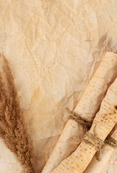 Similar image 13098516